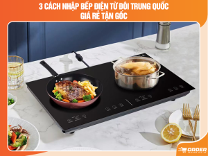 bếp điện từ đôi Trung Quốc