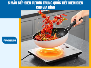 bếp điện từ đơn Trung Quốc